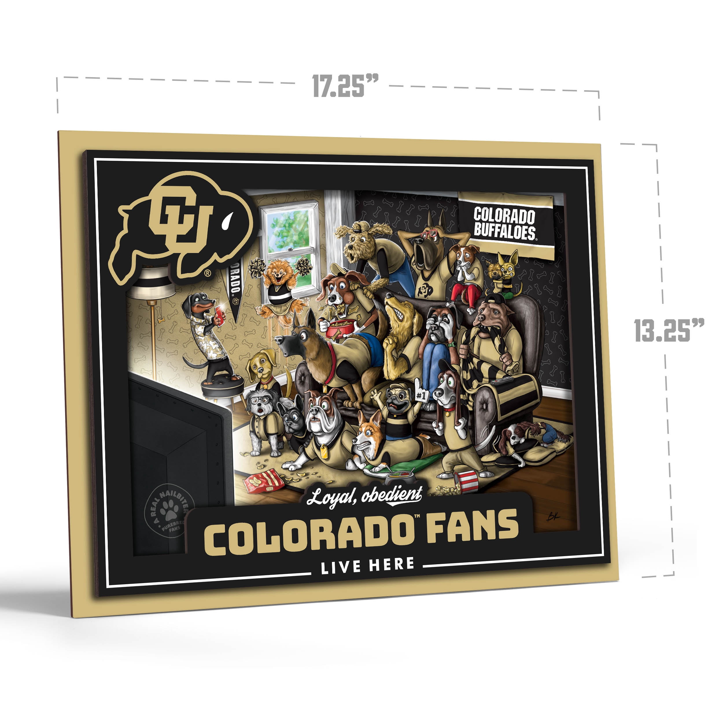 YouTheFan NCAA Colorado Buffaloes Purebred Fans Wall Art