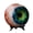 Green, variant on Surreal Monster Eye Resin Ornament, Robust 2.3-Inch Realistic Eyeball Decoration, Resilient Fantasy Horror Prop for Bookshelf & Desk, Spooky Gothic Home Decor, Green/Purple/Yellow/Blue