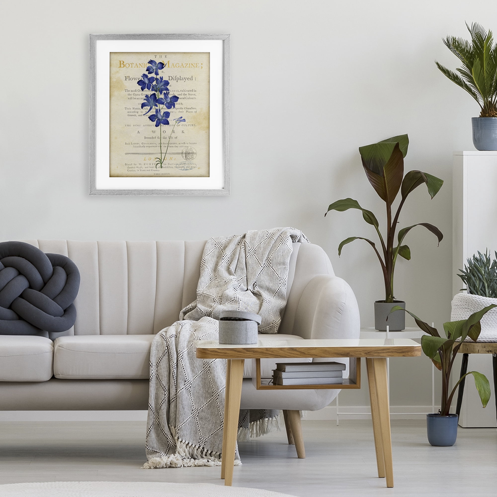 Stupell Industries Natural Botanic Garden Flower Gray Framed Print Under Glass, design by Susan Arnot