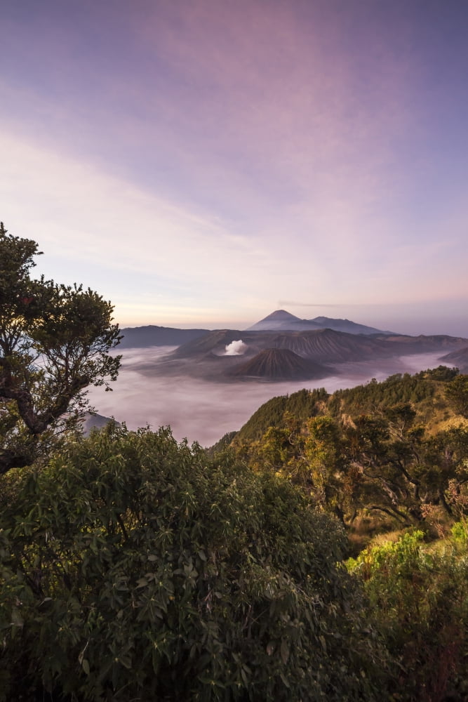 Tengger Caldera with steaming Mount Bromo Mount Batok and Mount Semeru in the background seen from the western viewpoint at dawn Bromo Tengger Semeru National Park East Java Indonesia Canvas Art - Pet