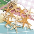 thumbnail image 3 of 100Pcs Natural Starfish Seashell Beach Craft Natural Sea Stars DIY Beach Wedding Decoration Crafts Home Decor 1-5cm, 3 of 10