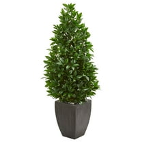 Nearly Natural 9372 56 in. Bay Leaf Cone Topiary Artificial Tree in Black Planter