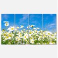 thumbnail image 2 of White Daisies under Bright Blue Sky - Floral Canvas Art Print, 2 of 3