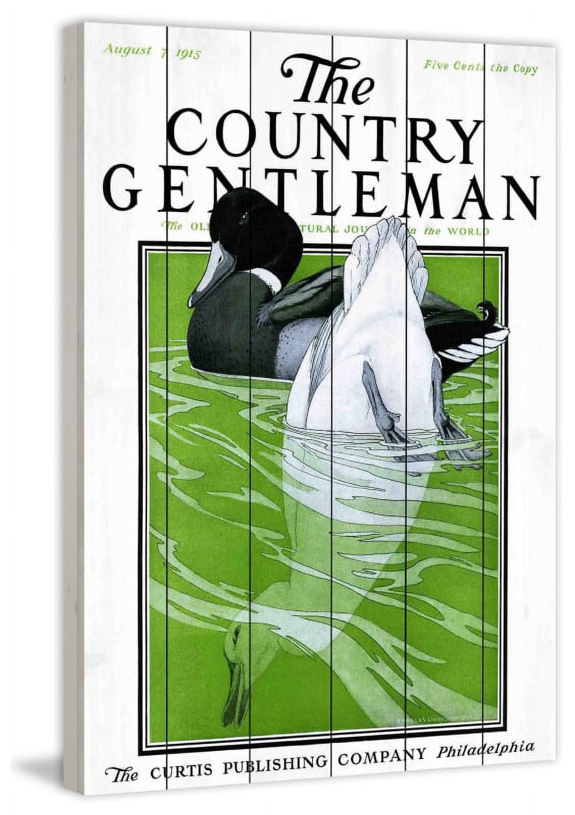 Marmont Hill "CG Ducks" Painting Print on White Wood