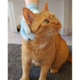 thumbnail image 3 of Guantes para el cuidado del pelaje: adecuados para caballos, perros y gatos. Una alternativa práctica al cepillo de cerdas. -Versalles, 3 of 5