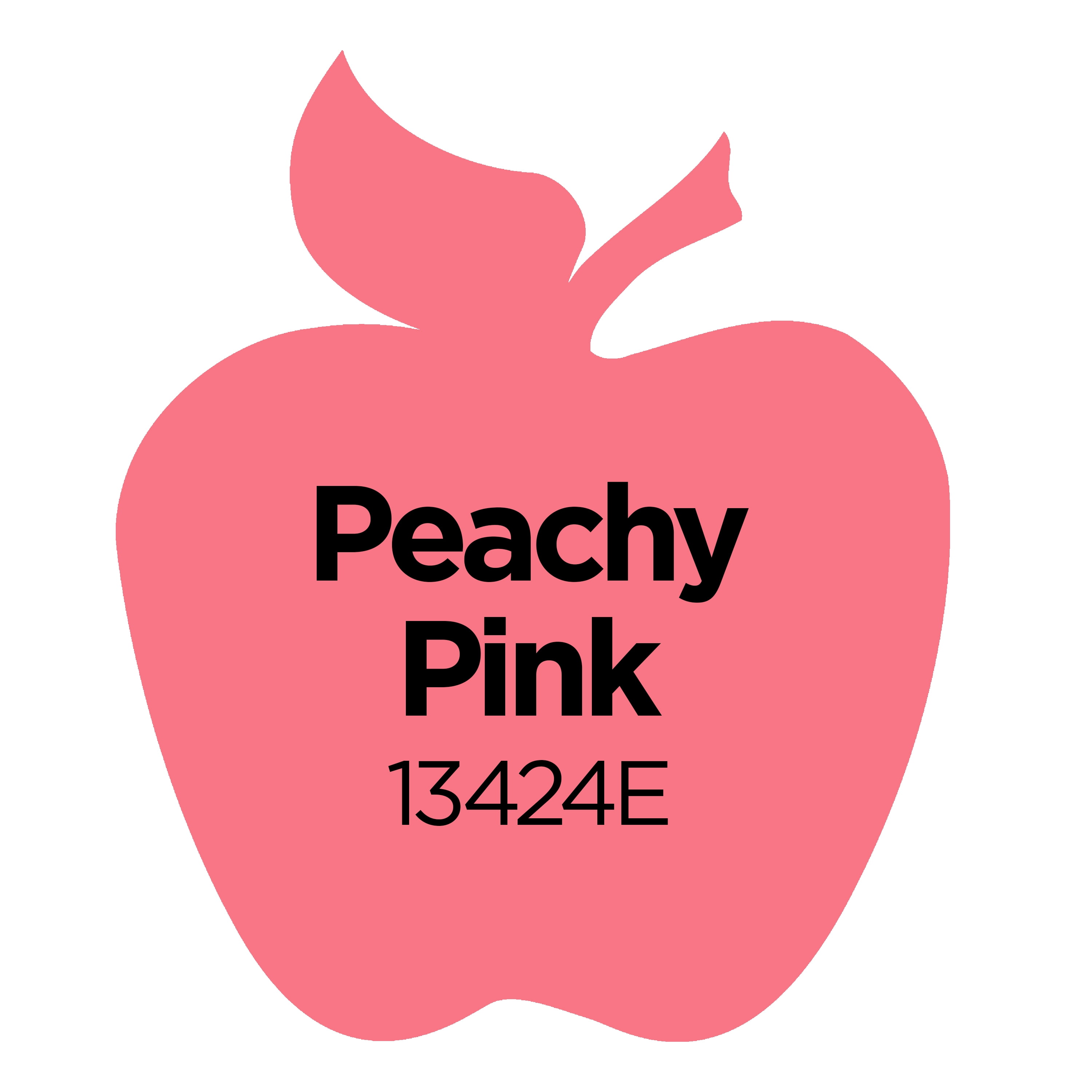 (5 pack) Apple Barrel Acrylic Craft Paint, Matte Finish, Peachy Pink, 2 fl oz