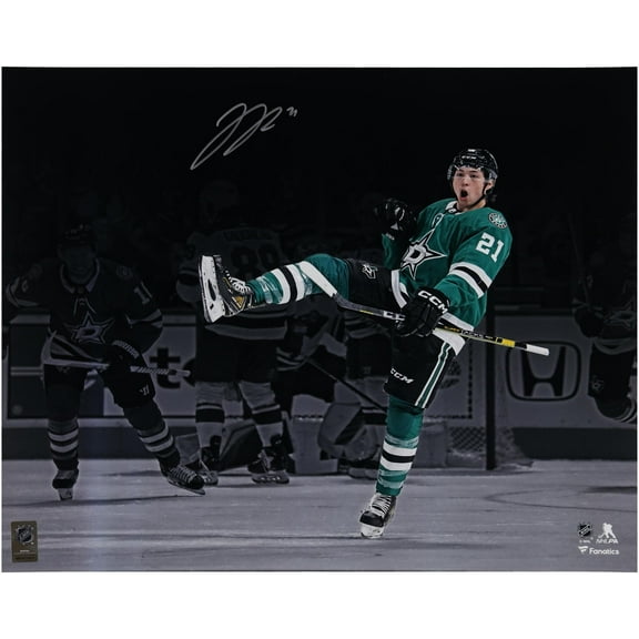 Jason Robertson Dallas Stars Autographed 16" x 20" Green Jersey Celebration Photograph - Fanatics Authentic Certified