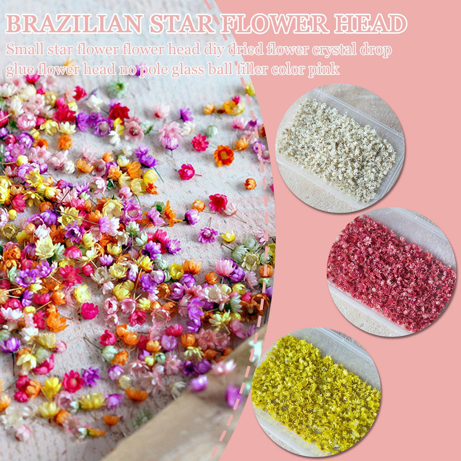 100/200pcs Dried Flowers for DIY Epoxy Resin Candle Making Jewelry – Kaijae  Designs