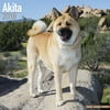 Akita Calendar 2018 - Dog Breed Calendar - Wall Calendar 2017-2018