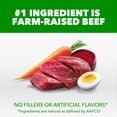 thumbnail image 4 of IAMS Proactive Health Adult MiniChunks Beef & Rice Recipe Dry Dog Food, 5 lb Bag, 4 of 9
