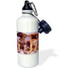 3dRose Great Danes, Sports Water Bottle, 21oz