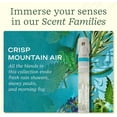 thumbnail image 4 of Lifelines Pen Diffuser, Crisp Mountain Air - 1mm Black Ballpoint Pen with Scented Essential Oil Blends \u2013 Aromatherapy Diffuser & Sensory Immersion Diffuse Aroma As You Write, 4 of 7