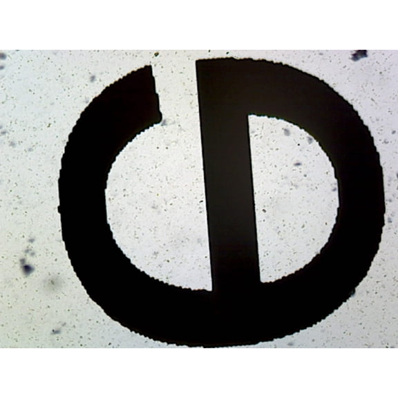 Printed Lowercase Letter "e"; Whole-mount by Go Science Crazy