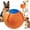 Orange, variant on Herding Ball for Dogs, Calming Jumbo Ball, Mellow Dog Jumbo Ball, Jolly Ball Dogs & Horses - 10/18/22" Durable Tear-Resistant Inflatable Pet Toy (Multi-Color, 10 inch)