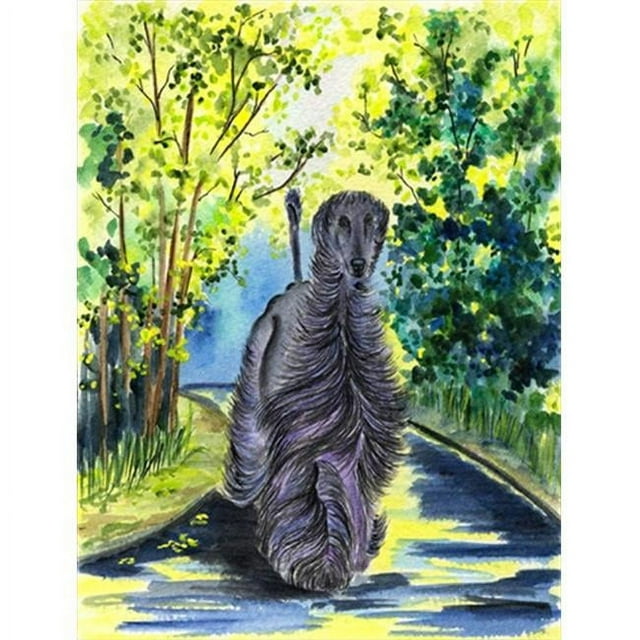 Carolines Treasures SS8181CHF Drapeau Afghan Hound en Toile - Taille Maison