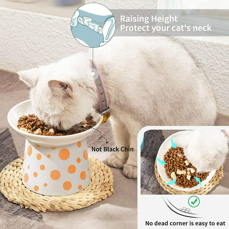 CEEFU Extra Wide Elevated Cat Bowls - Ceramic Cat Food Bowl 6.2 Raised Cat  Food Bowls Elevated Shallow Cat Food Dish, Whisker Fatigue, Lead & Cadmium