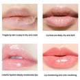FHKOEGHS Pucker up Lip Gloss Velour Puff Mini Lip Oil Moisturizing