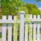 thumbnail image 4 of Simulation Flowers Rattan Rattan Simulation Green Tree Rattan Aquascape Ornaments Decoration, 4 of 6