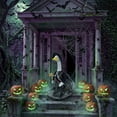 thumbnail image 5 of Halloween Goose Outfit Witch Lawn Porch Goose Clothes Fall Halloween Goose Costume for 23" Geese Outdoor Patio Yard Lawn Decoration, 5 of 8