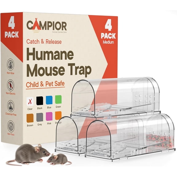 Campior Humane Mouse Trap Pack of 4, Live Catch & Release, Indoor/Outdoor, Pet & Child Safe, Reusable Plastic Cage, Clear
