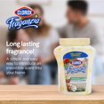 thumbnail image 3 of Ambientador Clorox Fraganzia Coconut Colada 355 ml, 3 of 6