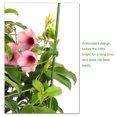 thumbnail image 3 of Xingzhi ABS Premium Plant And Durable For Sturdy Growth Climbing Frame Climbing Frame And Long-Term Use Climbing Frame 45 turns high and 28, 3 of 9