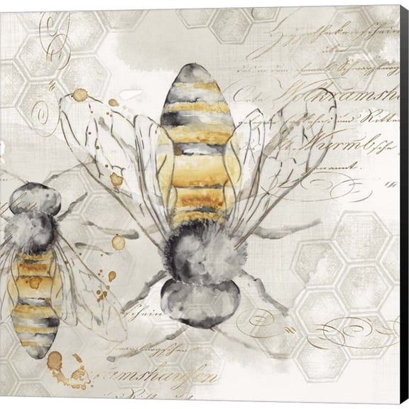 Queen Bee I by Eva Watts, Canvas Wall Art, 12W x 12H