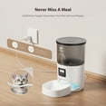 thumbnail image 6 of IMIPAW Automatic Cat Feeders, 3L Timed Cat Food Dispenser with Clog-Free Design, Dog Pet Feeder, 6 of 9