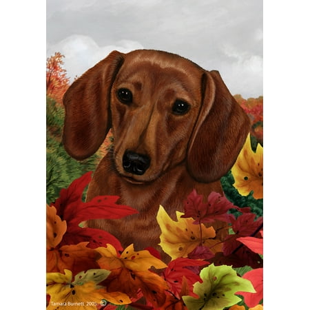 Dachshund Red - Best of Breed Fall Leaves Garden Flags