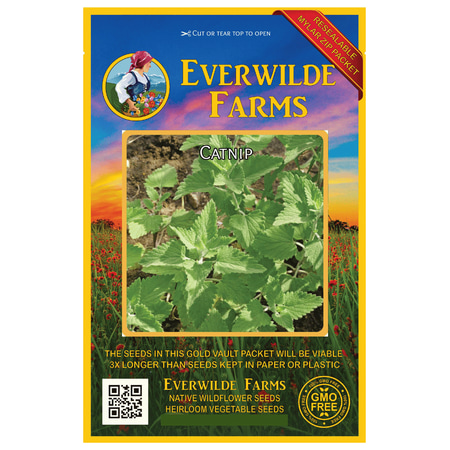 Everwilde Farms - 2000 Catnip Herb Seeds - Gold Vault Jumbo Bulk Seed