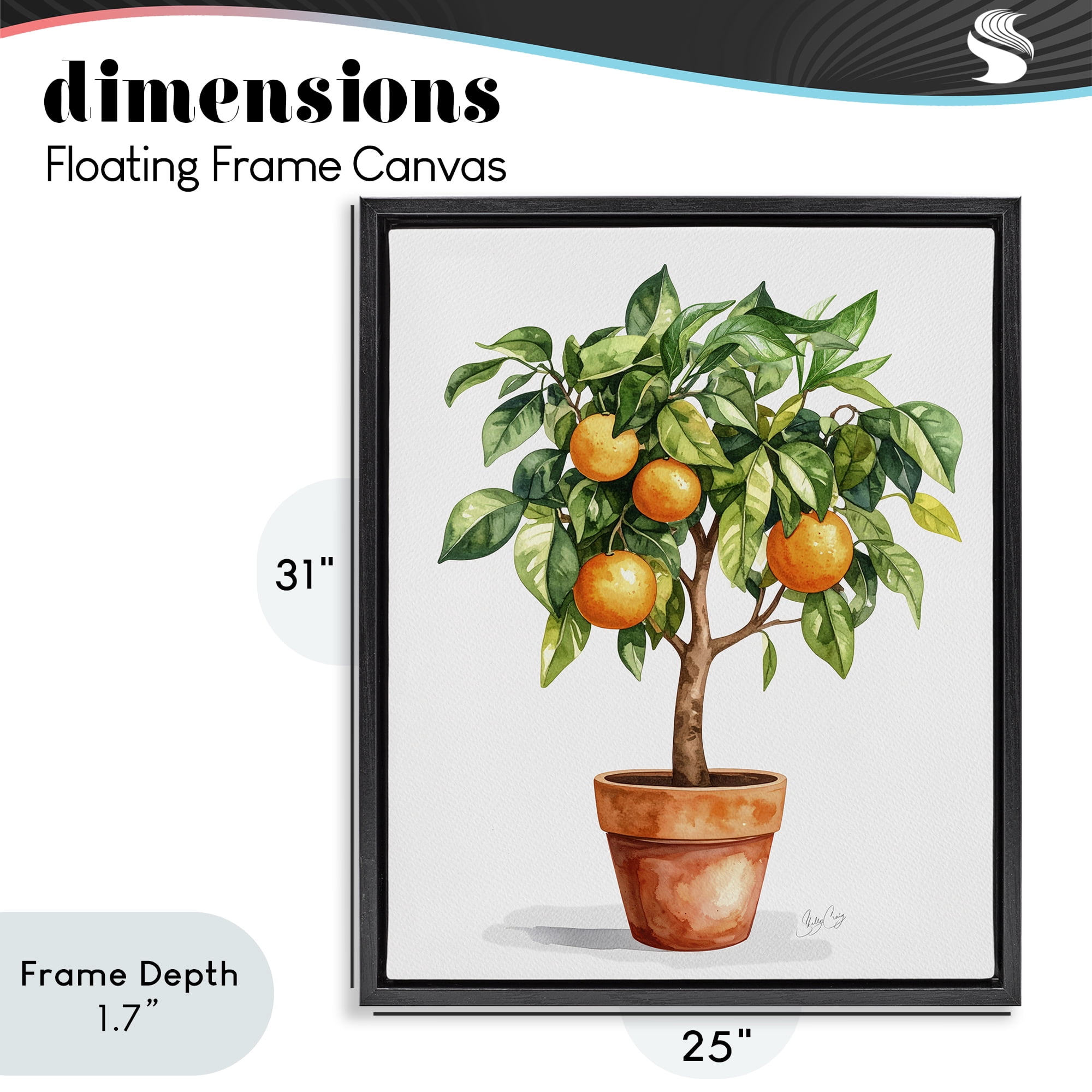 Stupell Industries Potted Orange Tree Black Framed Floater Canvas Wall Art, design by Shelly Craig