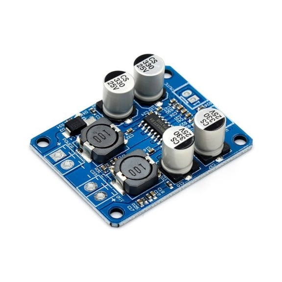 WINDLAND TPA3118 Single Channel 60W Audios Power Amplifier Board for Small Audios Setups