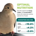 thumbnail image 2 of Dove Mix 5 Lbs, Dove Food, Premium Dove Bird Seed, Nut Free Mix Feed for Dove, Nutrient-Rich Mixed Birdseeds, Supports Daily Energy Growth & Healthy Balanced Diet, Bird Seed for Outside Feeders, 2 of 5