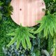 thumbnail image 4 of UPOUART Helecho Verde Falso Colgante Para Natural En Hogar Y Eventos, 4 of 7