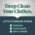 thumbnail image 4 of Stain Remover Bundle –Power+ Laundry Spray + 3-in-1 Oxy Booster Packs, Plant-Based Formulas, Fragrance-Free (2 Piece Set), 4 of 4