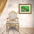 thumbnail image 3 of Day, Richard and Susan 32x23 Gold Ornate Wood Framed with Double Matting Museum Art Print Titled - Giant Swallowtail on Purple Coneflower -Marion County-Illinois, 3 of 4
