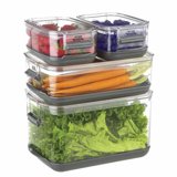 Progressive 4-piece Produce Keeper- Keeps Fruit and Vegetables Fresh ...