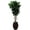 Green, variant on Nearly Natural 44" Plastic Ficus Tree Artificial Plant with Decorative Planter, Green