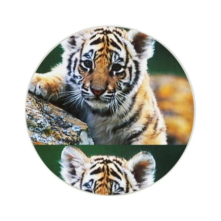 

Circular Drink Coasters Set Cute Baby Tiger Beautiful Home Decor Diatomite Heat-Resistant Diatomite Protect Table Countertop