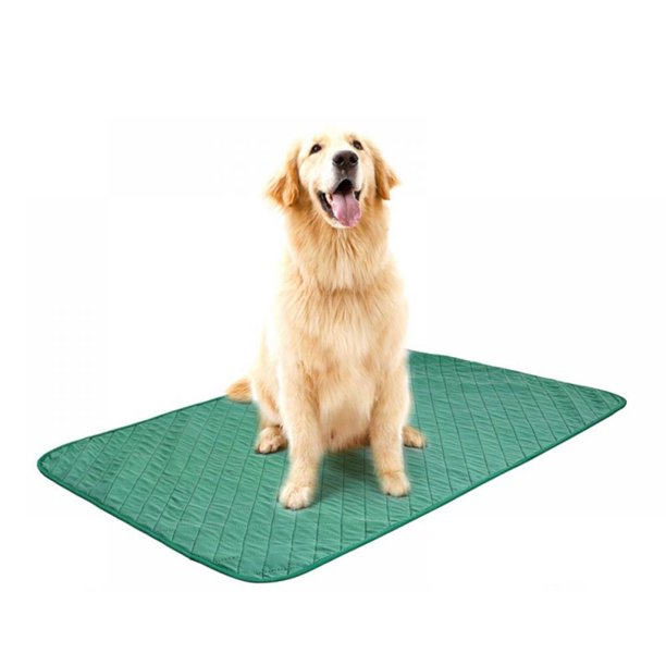 Reusable Pee Pads, Washable Puppy Pee Pads with Fast Absorbent