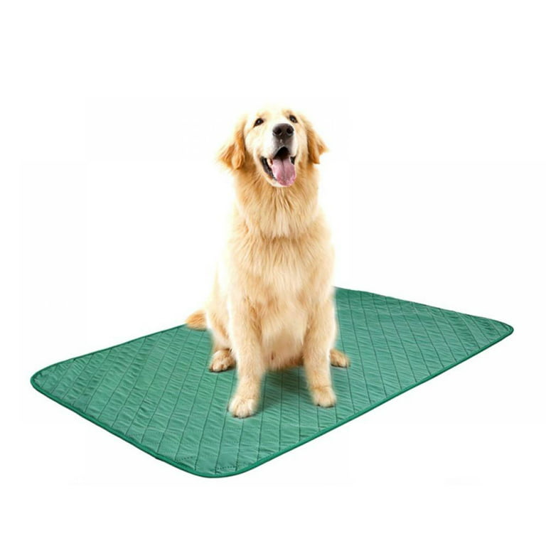 Washable Pee Pads for Dogs Reusable Pee Pads for Dogs Fast Absorbing  Waterproof Puppy Pads Reusable Puppy Pads Washable Puppy Pads Dog Whelping  Pads