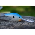 thumbnail image 4 of Rapala Dives-To 04 Crankbait, Floating, 2", 5/16oz, MGRA Mardi Gras, 4 of 4