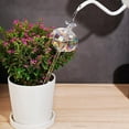 thumbnail image 5 of Plant Watering Bulb 2 Piece Set, Clear Glass Automatic Watering Bulb, Potted Plant Glass Waterer - Automatic Mini Irrigation System, Cute Gardening Gifts, 5 of 7