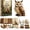 Owl, variant on Woodland Animal DIY Patchwork Sewing Kit – Handmade Forest Friends Collection, DIY Sewing Kit for Beginner, Handmade Stuffed Animal Sewing Project for Adults & Teens, DIY Gift Kit (Deer)