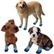 thumbnail image 5 of Botas para Perros, 4 Piezas Zapatos Impermeables para Perros con Correas Reflectantes Antideslizantes, Botas Protectoras para Perros para Cachorros, Perros pequeños y medianos (M, Azul) JM, 5 of 5