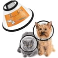 thumbnail image 1 of Pet Recovery Cone, Adjustable in ABS, Comfortable Anti-Bite Safety Collar for Small Dogs, L, 1 of 8