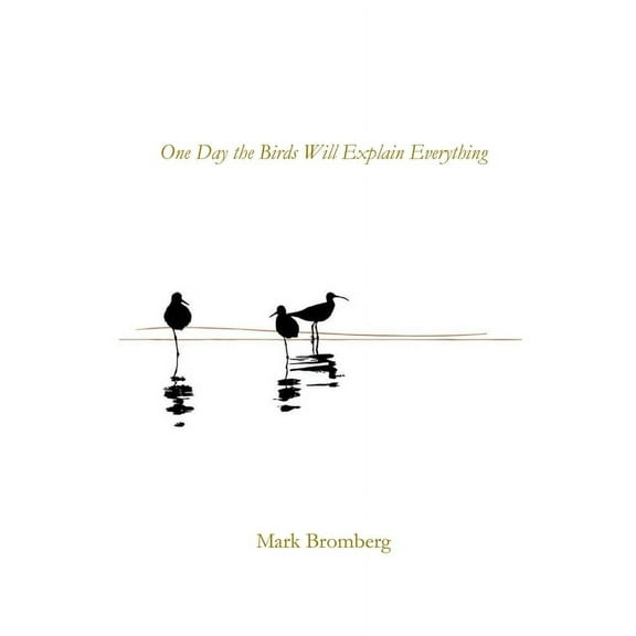 One Day the Birds Will Explain Everything, (Paperback)