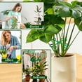 thumbnail image 5 of Ohmyroo Greenery Support Rack Set 4-Sizes Folding Stand For Flora, 5 of 5
