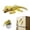 Yellow, variant on 3D-printed articulated lifelike gecko figurine with base; articulated gecko fridge ; realistic-looking fridge ; for home decor or pranking friends,Orange-white