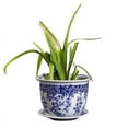 thumbnail image 4 of Maceta de cerámica de porcelana azul y blanca con bandeja, maceta grande de hierro para árbol, maceta hidropónica para balcón, para jardinería doméstica, 4 of 6